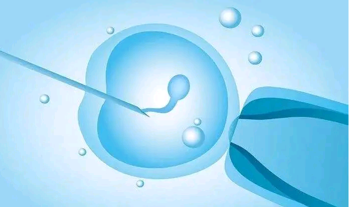 广州传承生殖医学研究[代孕成功的机率],阳江有医院可以供卵做试管婴儿吗？