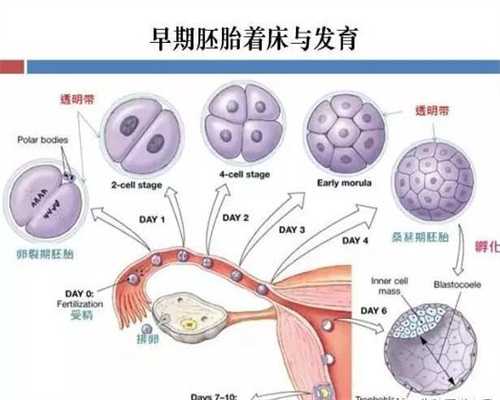 上海可以合法找人代孕吗_上海代孕生子有吗_365助孕实力雄厚-无子宫可以代孕吗
