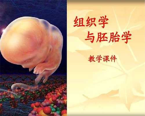 上海切除子宫后能找代孕吗_上海哪里有正规代孕_国内代孕-早孕反应是间歇性的