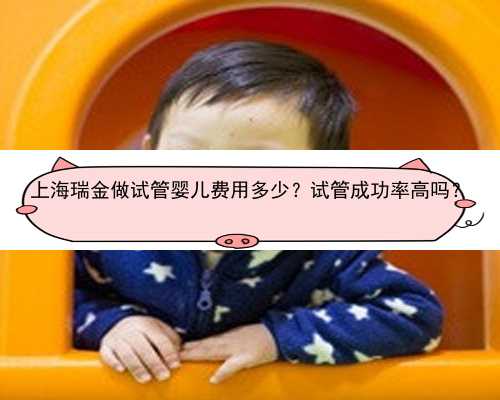 上海瑞金做试管婴儿费用多少？试管成功率高吗？