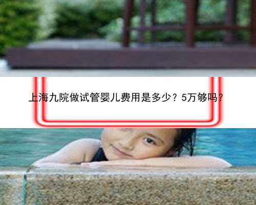 上海九院做试管婴儿费用