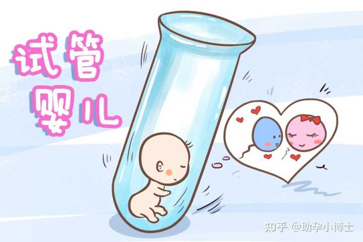 上海试管助孕花费多少钱,上海单身女性做供精试管婴儿费用明细表,上海瑞金医