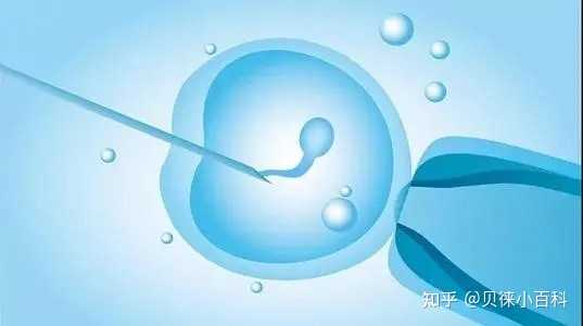 上海仁济医院供卵流程,上海仁济-供卵时间-四维彩超是检查多少钱